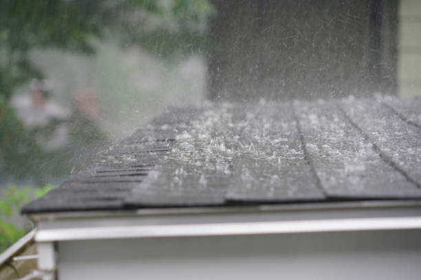 Best Roof Insulation Installation  in Carbonville, UT