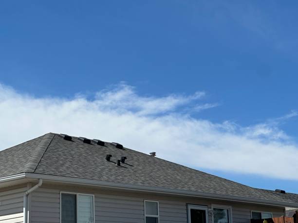 Best Roof Maintenance and Cleaning  in Carbonville, UT